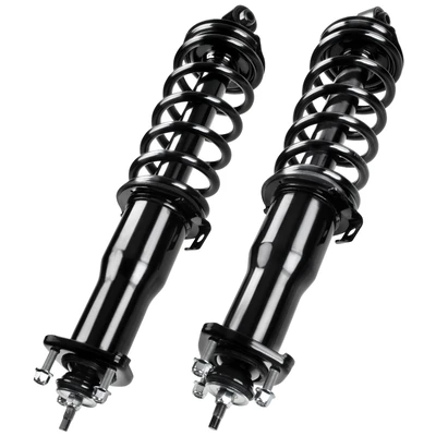 2 Pcs Rear Complete Strut & Coil Spring Assembly