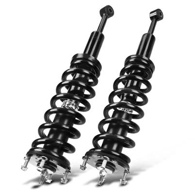 2 Pcs Front Complete Strut & Coil Spring Assembly