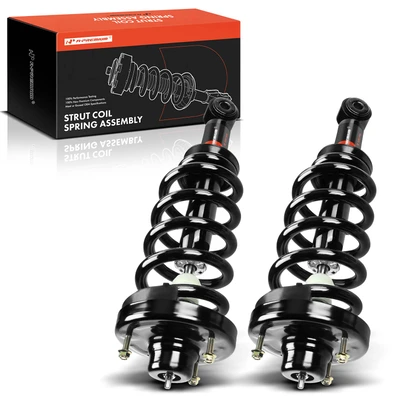 2 Pcs Rear Complete Strut & Coil Spring Assembly