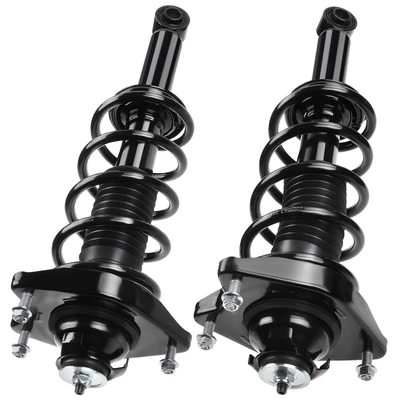 2 Pcs Rear Complete Strut & Coil Spring Assembly