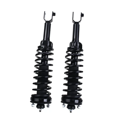 2 Pcs Rear Complete Strut & Coil Spring Assembly