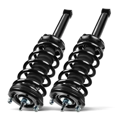 2 Pcs Rear Complete Strut & Coil Spring Assembly