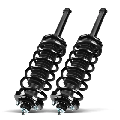 2 Pcs Rear Complete Strut & Coil Spring Assembly