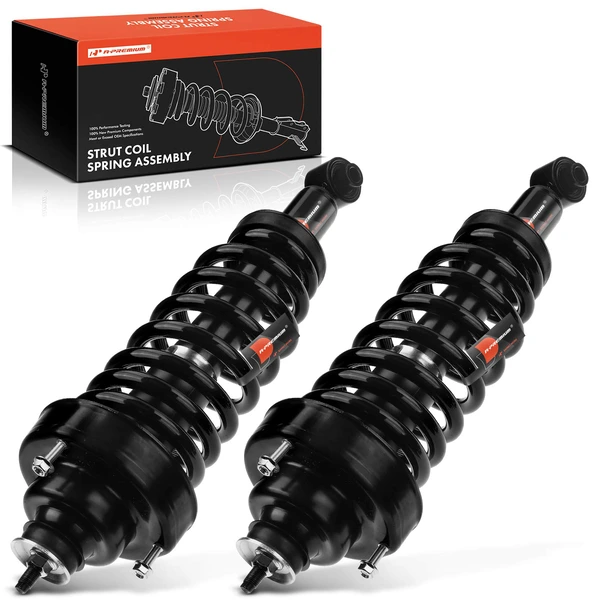 2-Pc Complete Strut + Coil Spring, Rear Driver & Passenger, A-Premium APSA0248