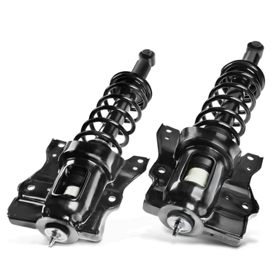 2 Pcs Rear Complete Strut & Coil Spring Assembly