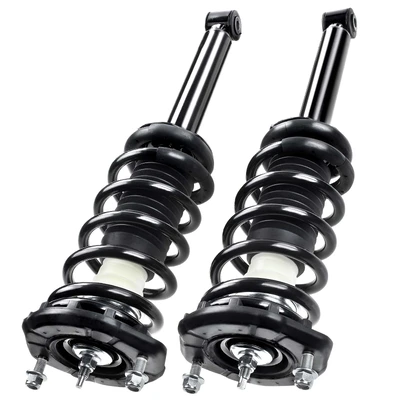 2 Pcs Rear Complete Strut & Coil Spring Assembly