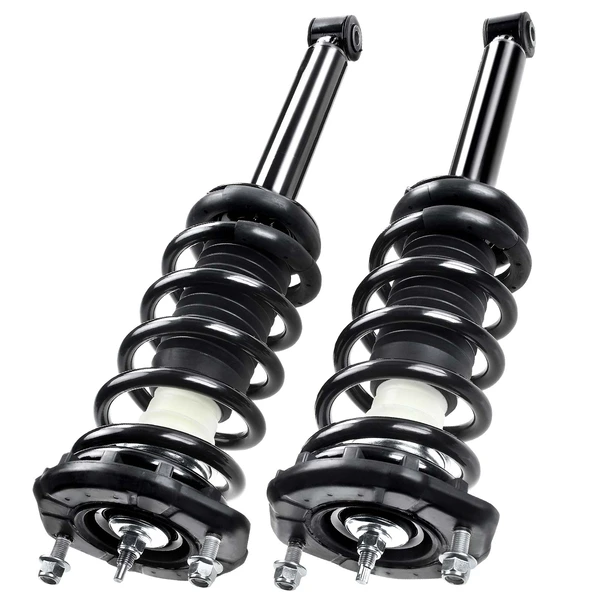 2000-2003 Nissan Maxima 2-Pc Strut and Coil Spring Assembly Set Rear Driver & Passenger A-Premium APSA0251