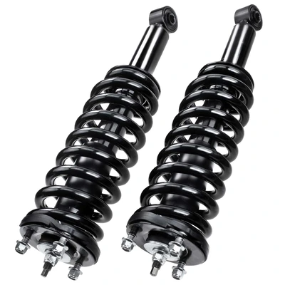 2 Pcs Front Complete Strut & Coil Spring Assembly