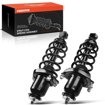 2 Pcs Rear Complete Strut & Coil Spring Assembly