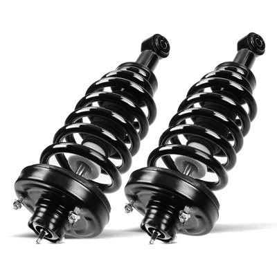 2 Pcs Rear Complete Strut & Coil Spring Assembly