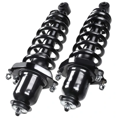 2 Pcs Rear Complete Strut & Coil Spring Assembly