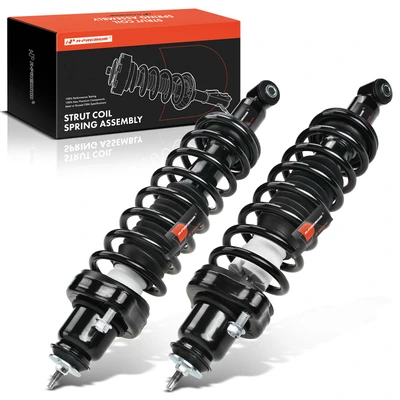 2 Pcs Rear Complete Strut & Coil Spring Assembly