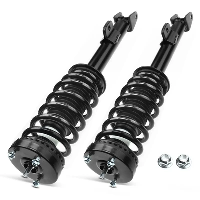 2 Pcs Front Complete Strut & Coil Spring Assembly