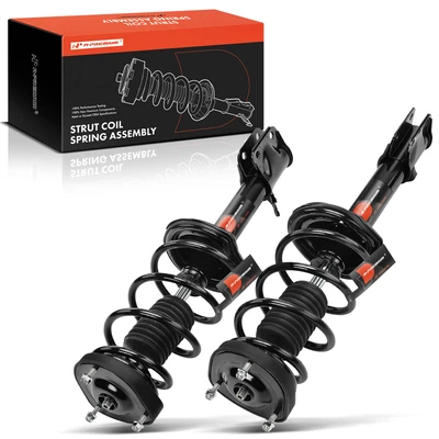 2 Pcs Rear Complete Strut & Coil Spring Assembly
