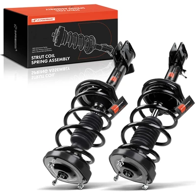 2 Pcs Rear Complete Strut & Coil Spring Assembly