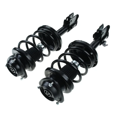 2 Pcs Front Complete Strut & Coil Spring Assembly