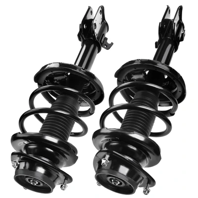 2 Pcs Front Complete Strut & Coil Spring Assembly
