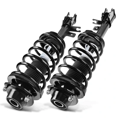 2 Pcs Rear Complete Strut & Coil Spring Assembly