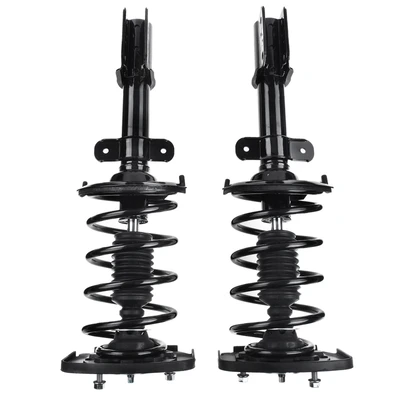 2 Pcs Rear Complete Strut & Coil Spring Assembly