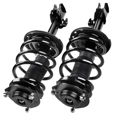 2 Pcs Front Complete Strut & Coil Spring Assembly