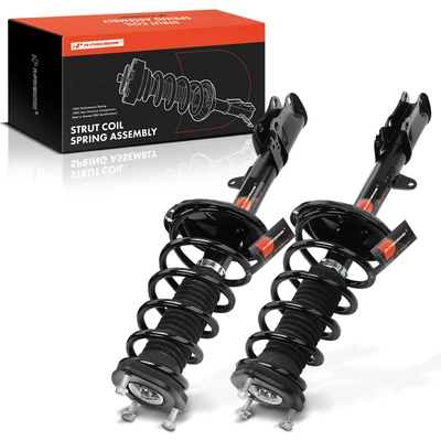 2 Pcs Rear Complete Strut & Coil Spring Assembly