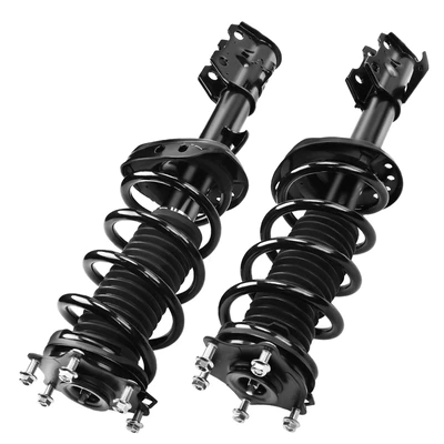 2 Pcs Front Complete Strut & Coil Spring Assembly