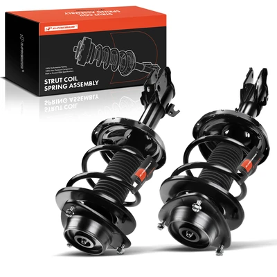 2 Pcs Front Complete Strut & Coil Spring Assembly
