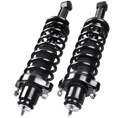 2 Pcs Rear Complete Strut & Coil Spring Assembly