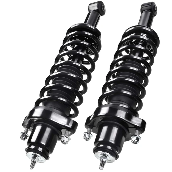 2-Pc Strut and Coil Spring Assembly Set Rear Driver & Passenger A-Premium APSA0479