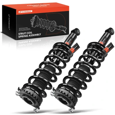 2 Pcs Rear Complete Strut & Coil Spring Assembly