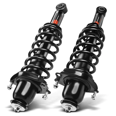 2 Pcs Rear Complete Strut & Coil Spring Assembly