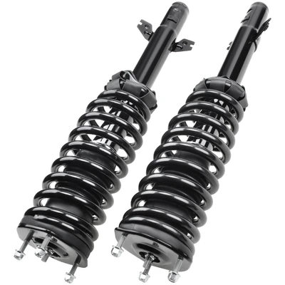 2 Pcs Front Complete Strut & Coil Spring Assembly