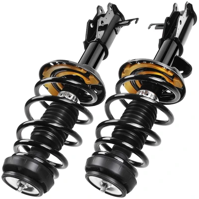 2 Pcs Front Complete Strut & Coil Spring Assembly
