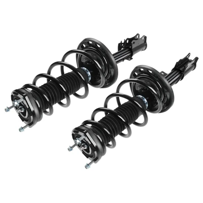 2 Pcs Rear Complete Strut & Coil Spring Assembly