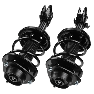 2 Pcs Front Complete Strut & Coil Spring Assembly