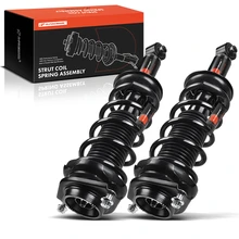2 Pcs Rear Complete Strut & Coil Spring Assembly