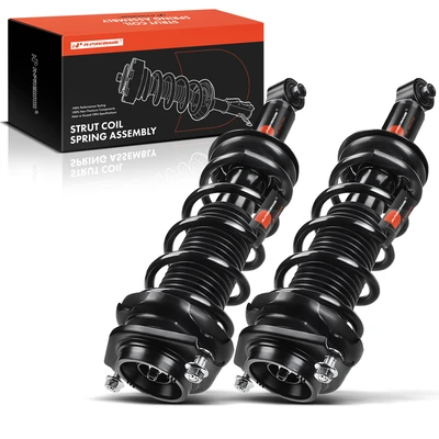 2 Pcs Rear Complete Strut & Coil Spring Assembly