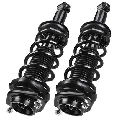 2 Pcs Rear Complete Strut & Coil Spring Assembly