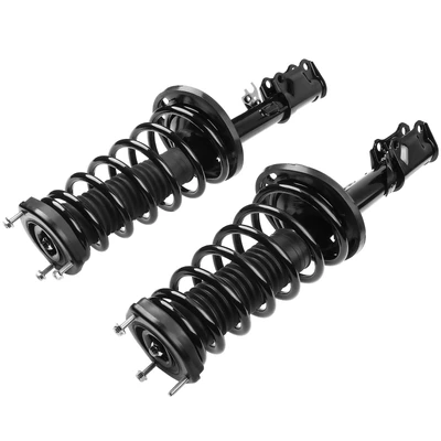2 Pcs Rear Complete Strut & Coil Spring Assembly