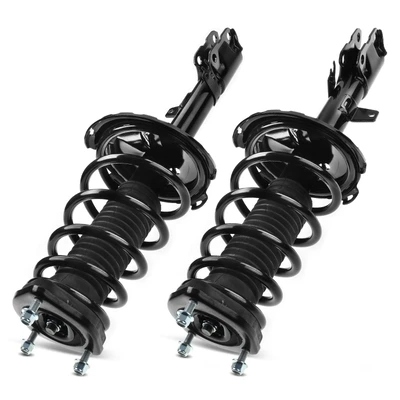 2 Pcs Rear Complete Strut & Coil Spring Assembly