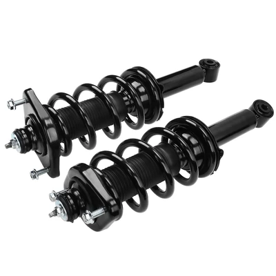 2 Pcs Rear Complete Strut & Coil Spring Assembly