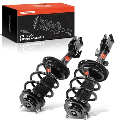 2 Pcs Front Complete Strut & Coil Spring Assembly