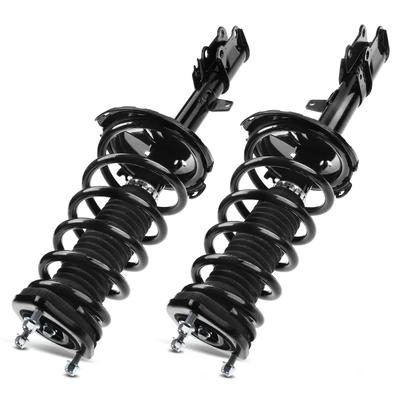 2 Pcs Rear Complete Strut & Coil Spring Assembly