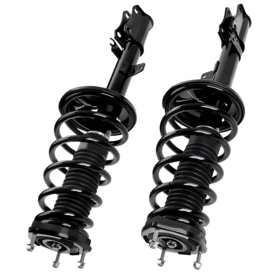 2 Pcs Rear Complete Strut & Coil Spring Assembly