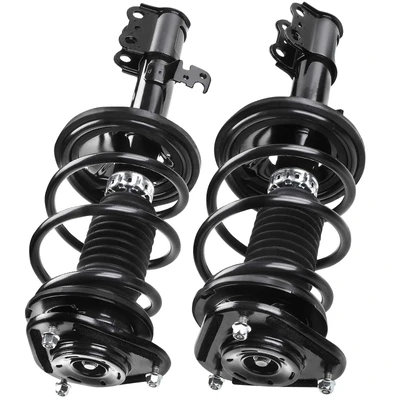 2 Pcs Front Complete Strut & Coil Spring Assembly