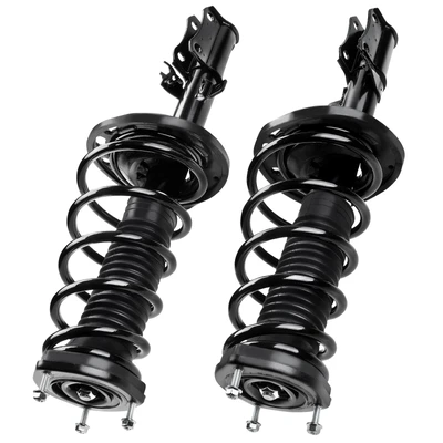 2 Pcs Rear Complete Strut & Coil Spring Assembly