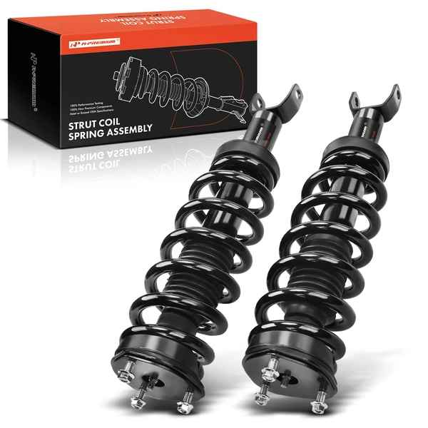 2009-2010 Dodge Ram 1500 2-Pc Strut and Coil Spring Assembly Set Front Driver & Passenger A-Premium APSA0416