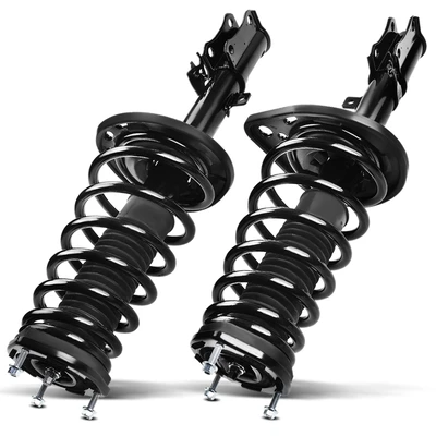 2 Pcs Rear Complete Strut & Coil Spring Assembly