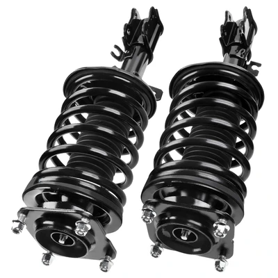 2 Pcs Front Complete Strut & Coil Spring Assembly