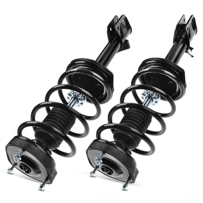 2 Pcs Rear Complete Strut & Coil Spring Assembly
